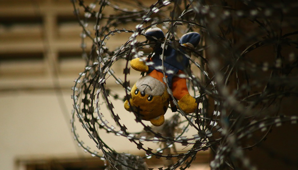 Bear Toy in bob Wire fence: failed school systems